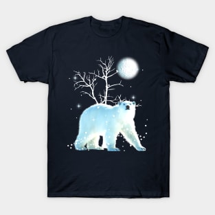 Winter Solstice Polaris T-Shirt